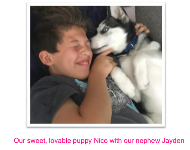 Our puppy Nico is soooooo sweet.
