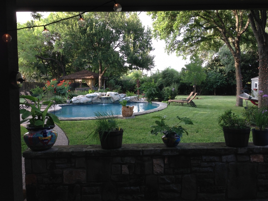 Our backyard
